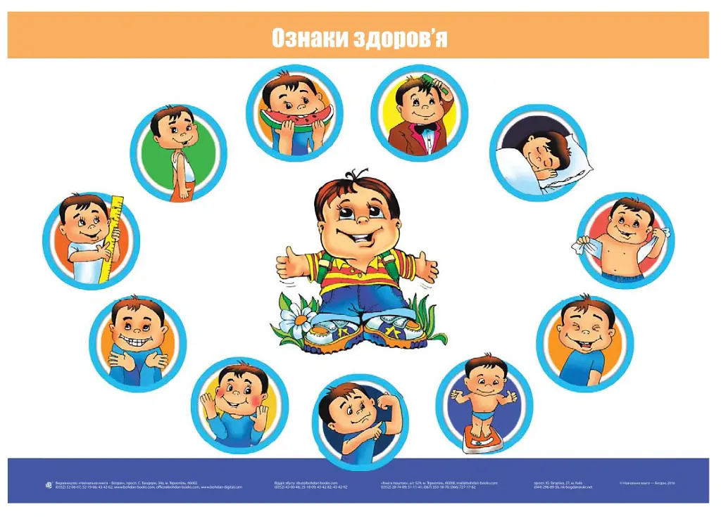 Я досліджую світ. 1 клас. Основи здоров’я. Таблиці - Наталя Будна - фото 3