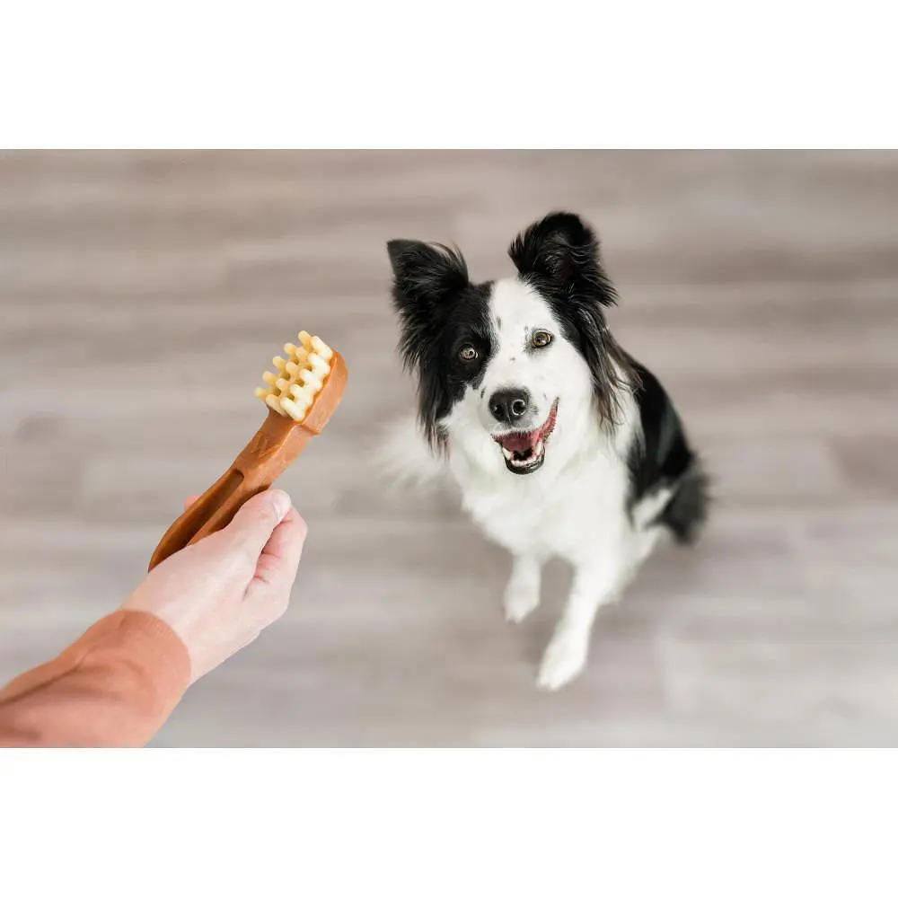 Ласощі Whimzees Toothbrush д/собак у формі зубної щітки M 12 шт - фото 7