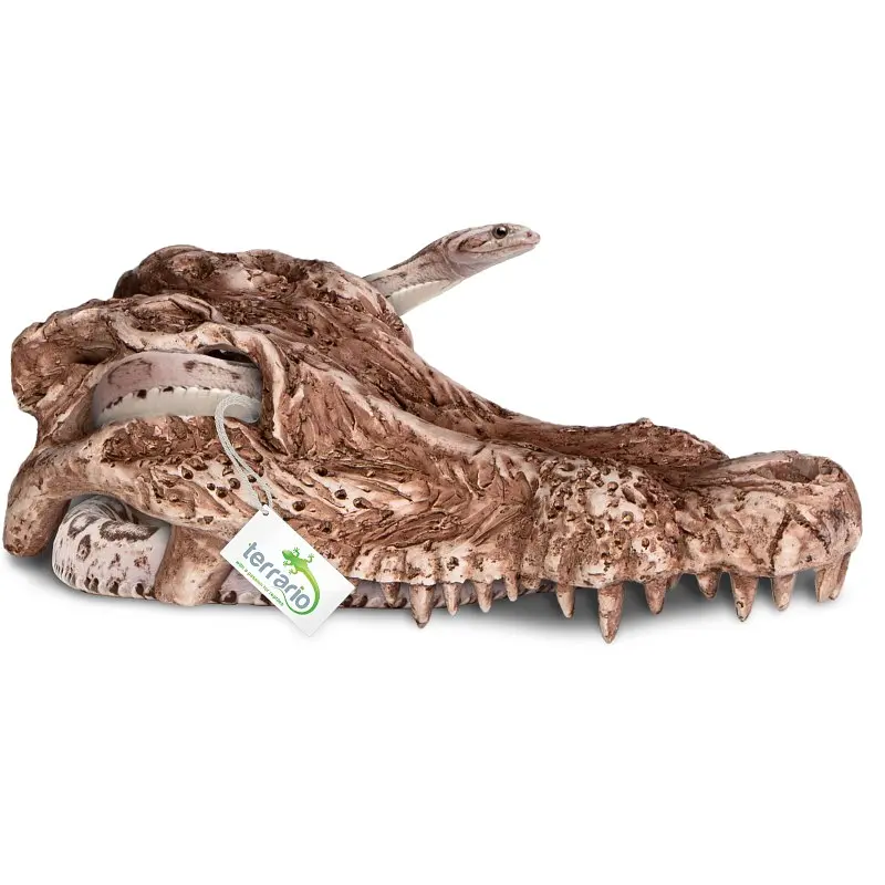 Декорація череп крокодила Terrario Crocodile Skull 30x14x9см (A15911) - фото 5