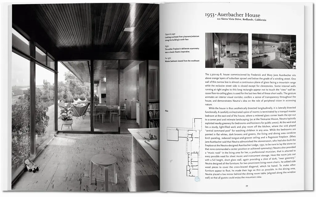 Neutra - фото 6