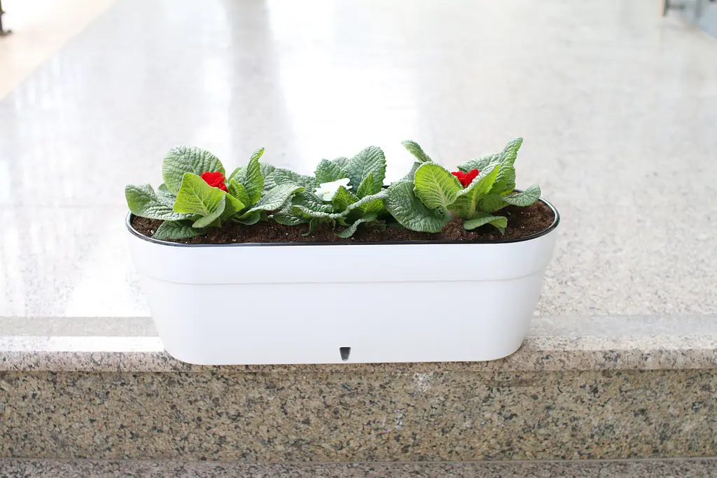 Вазон Santino Asti Window Box 12 л 50х17х20 см шаде (2021496) - фото 7