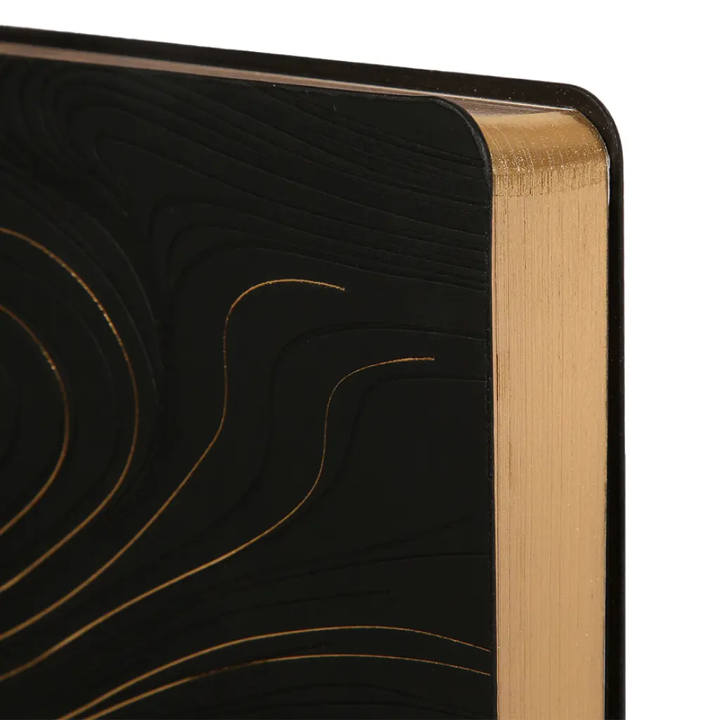 Дневник-деловая записная книжка А5 Leo Planner Enigma 2026 мягкий черный 368 страниц (252700) - фото 3