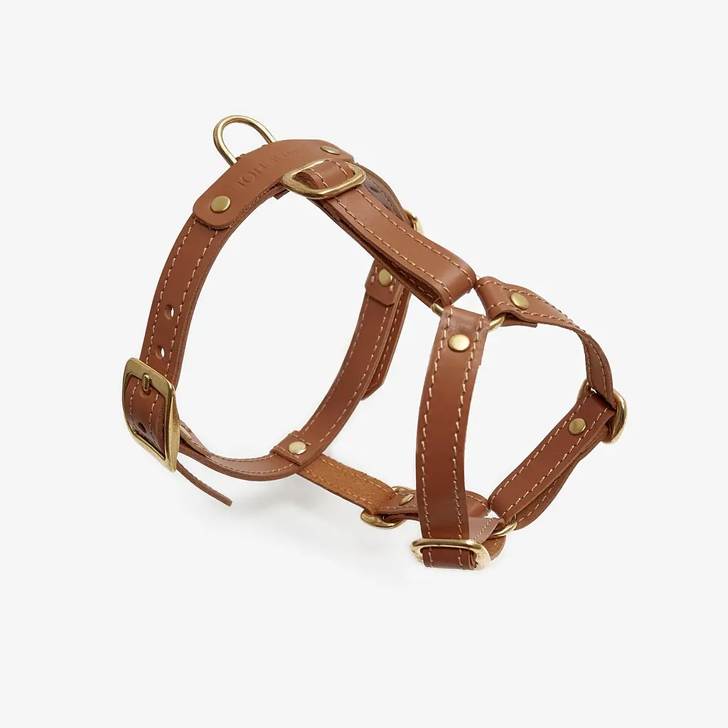 Шкіряна анатомічна шлея для собак "Classy" XS руда (обхват грудини 28-36 см) - фото 3