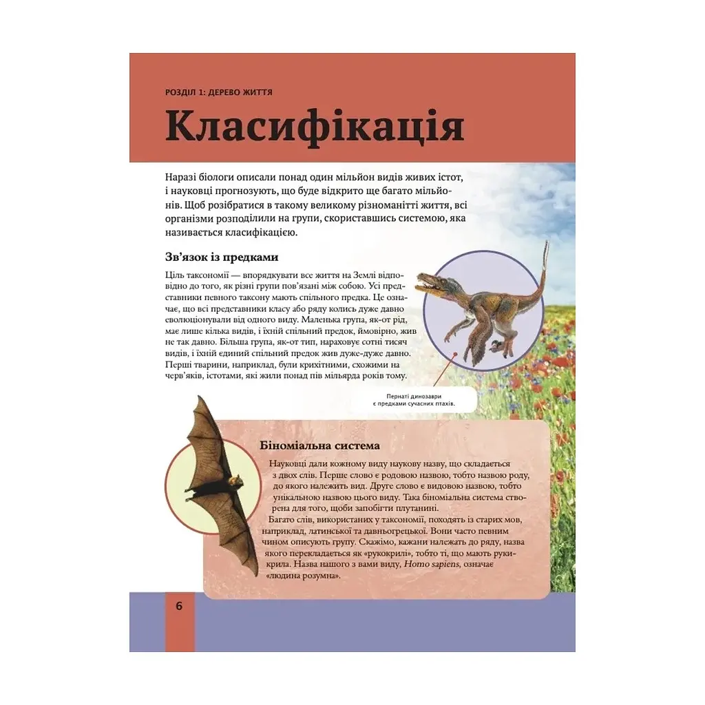 Книга Дитяча енциклопедія біології - Том Джексон Vivat (9786171707825) - фото 7