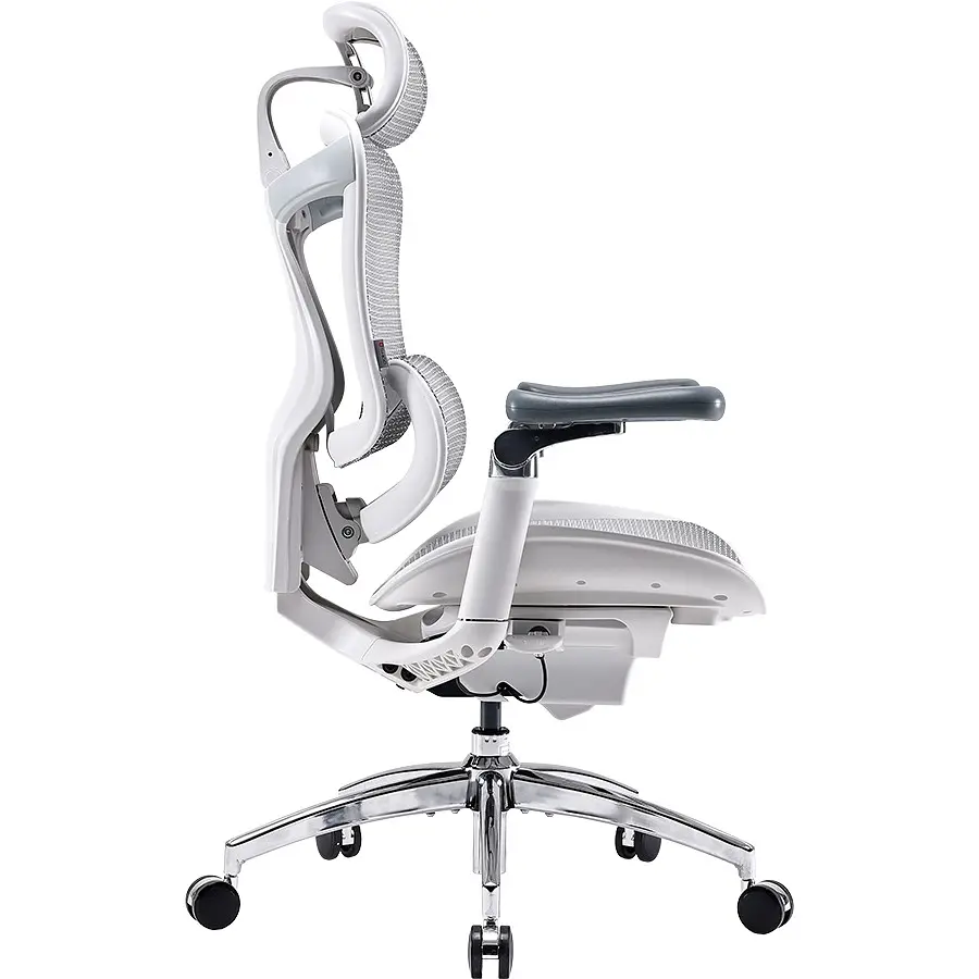 Офисное кресло Sihoo Doro C300 Pro Mesh White (DORO-C300-PRO-M102) - фото 4