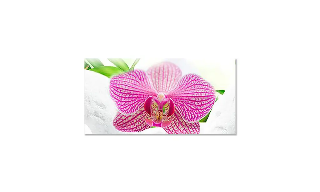 Вінілова наклейка на стіл Делікатні Орхідеї ПВХ плівка рожеві квіти Білий 65х120 см Happy Pocket Z180548 - фото 3