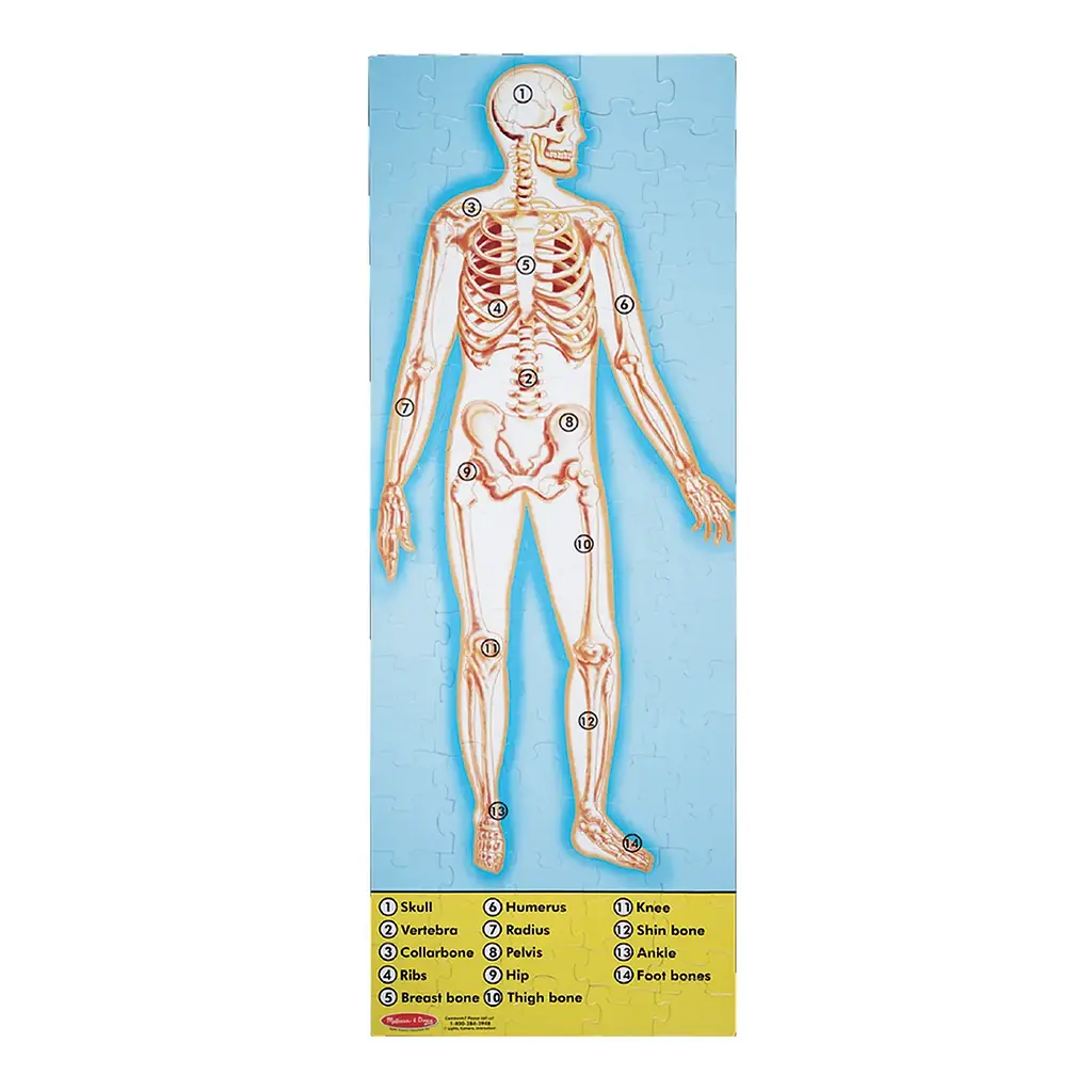Мега-пазл Melissa&Doug Будова людини, 100 елементів (MD445) - фото 3