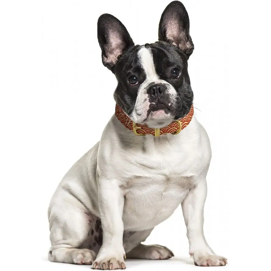 Ошейник для собак BronzeDog Barksi Classic Море кожаный одинарный с золотым тиснением M 28-36х1.7 см красный - фото 4