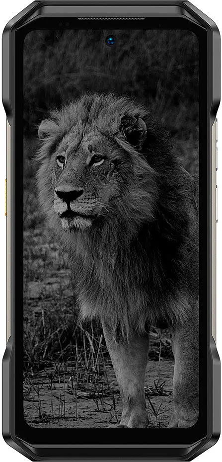 Смартфон Ulefone Armor 27 12/256Gb Black (2549962717)