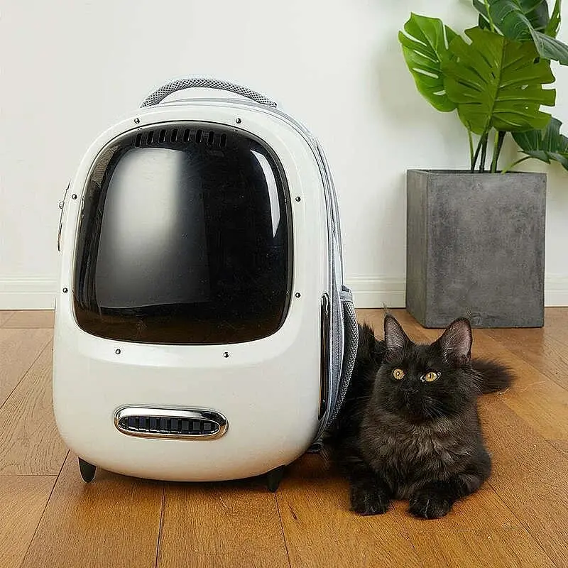 Рюкзак-переноска Petkit Breezy 2 Smart Cat Carrier White P7704 (P7704 White) - фото 4