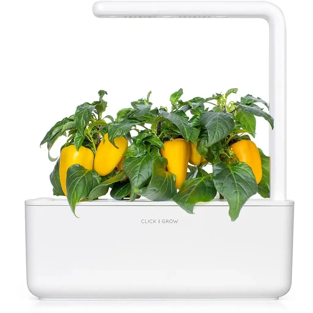 Змінний картридж Click & Grow Smart Garden Жовтий солодкий перець, 3 капсули (8950) - фото 5