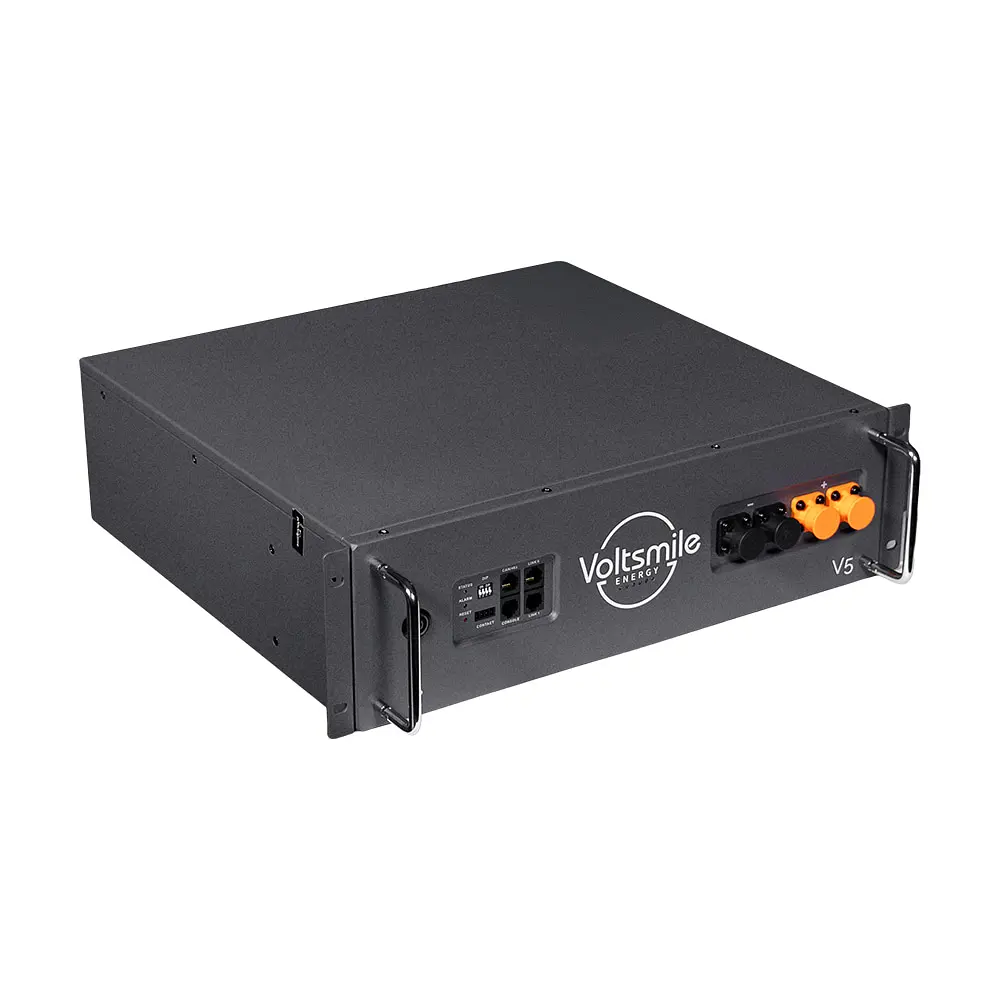 Акумуляторна батарея літій-залізо-фосфатна LiFePO4 48В 2400Вт*год Voltsmile V5 монтаж в стійку 19" (44-00124) - фото 3