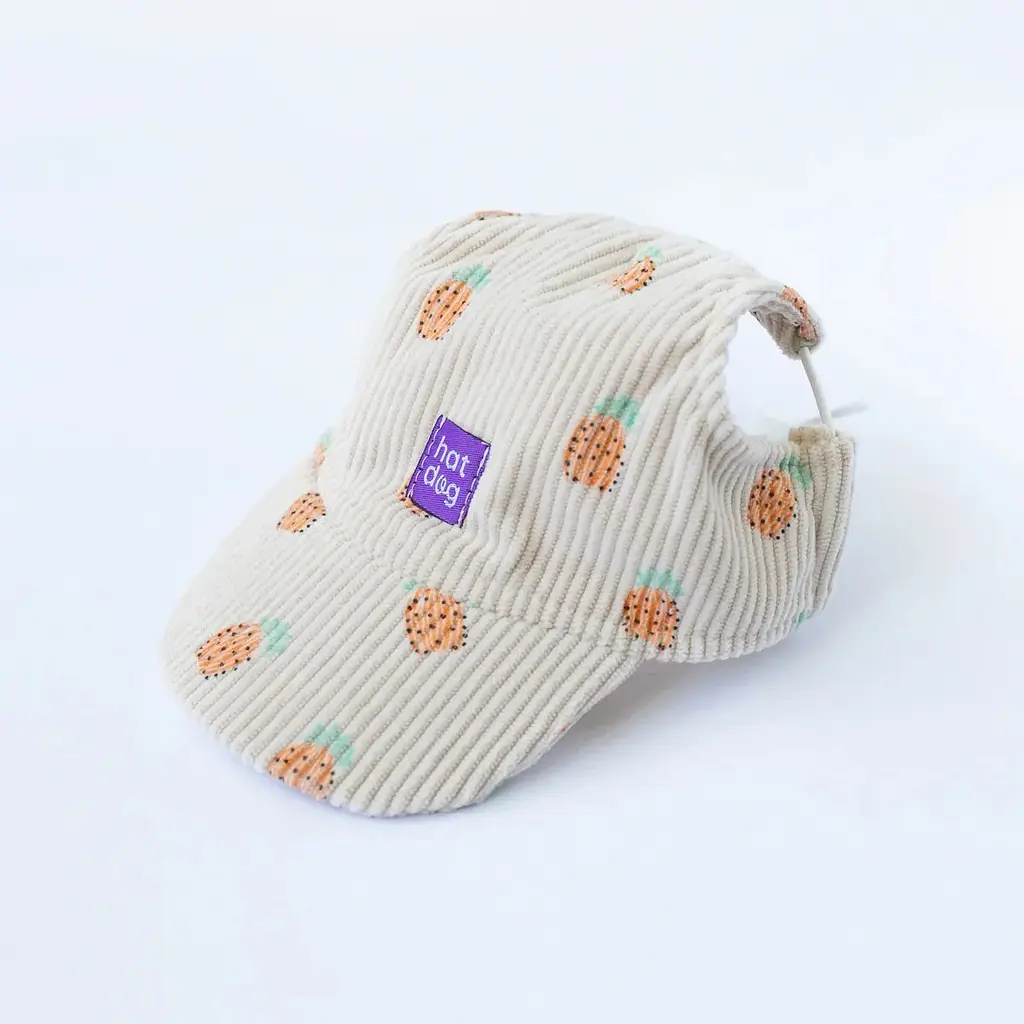 Кепка для собак Hat-Dog Ананас (S)