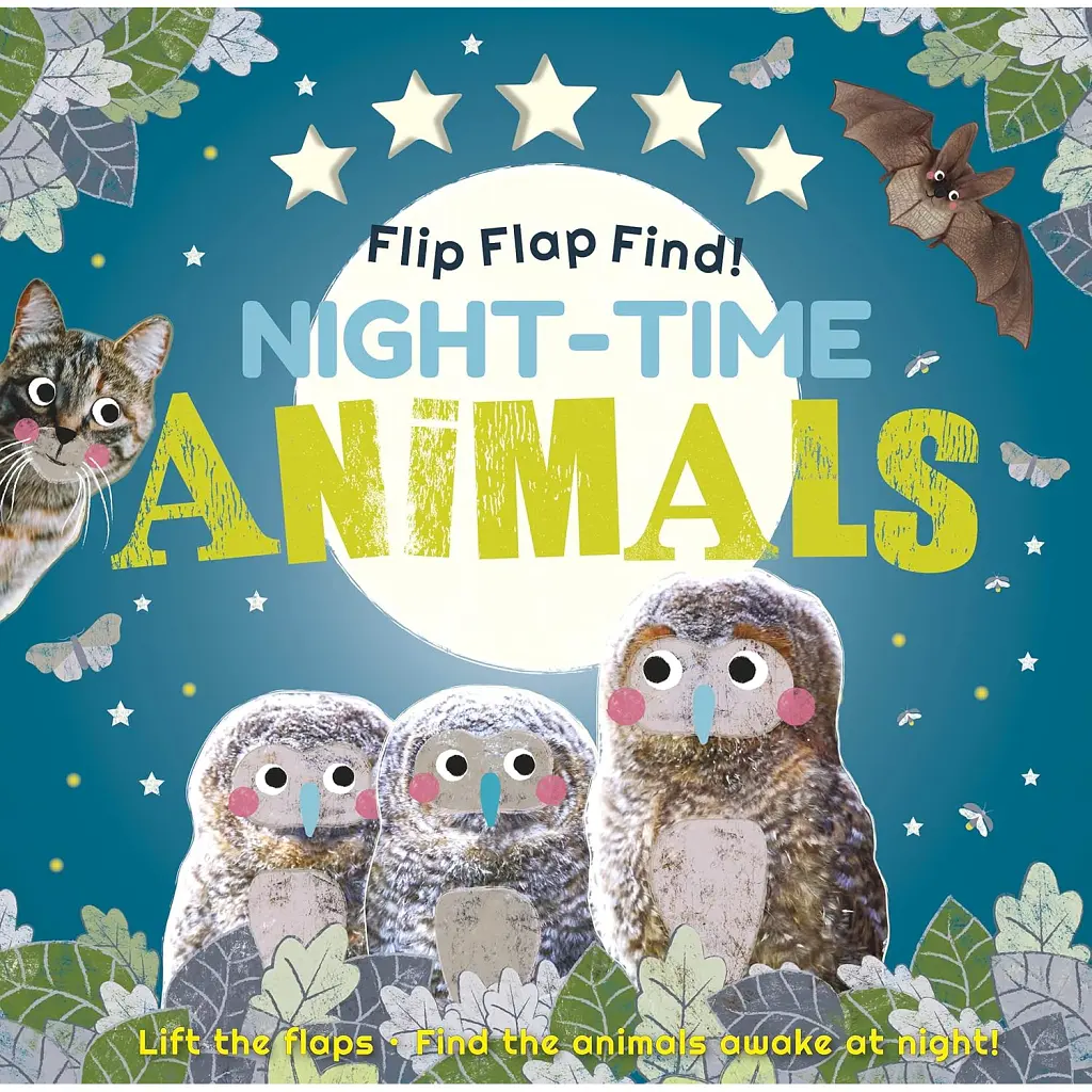 Flip Flap Find! Night-time Animals -