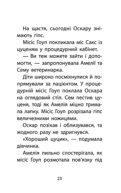 Історії порятунку. Книга 5. Щенячі пригоди - фото 4
