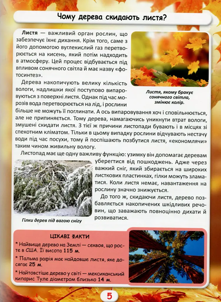 Світ навколо нас. Як? Навіщо? Чому? Цікаві факти про світ і людину - Валентин Лисов - фото 4