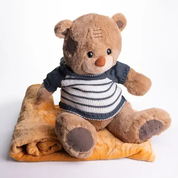 Мягкая игрушка с пледом 110х140 см Мишка Тедди в полосатом свитере бежевый детский плюшевый плед игрушка подушка детская ТМ COLORFUL HOME 509-35BRL - фото 2