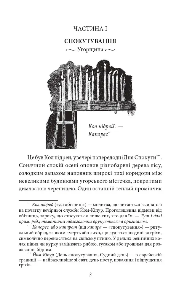 Книга Трагедія Трояндової алеї. Єврейські історії. Зарубіжні авторські - Л. фон Захер-Мазох (Folio) - фото 5