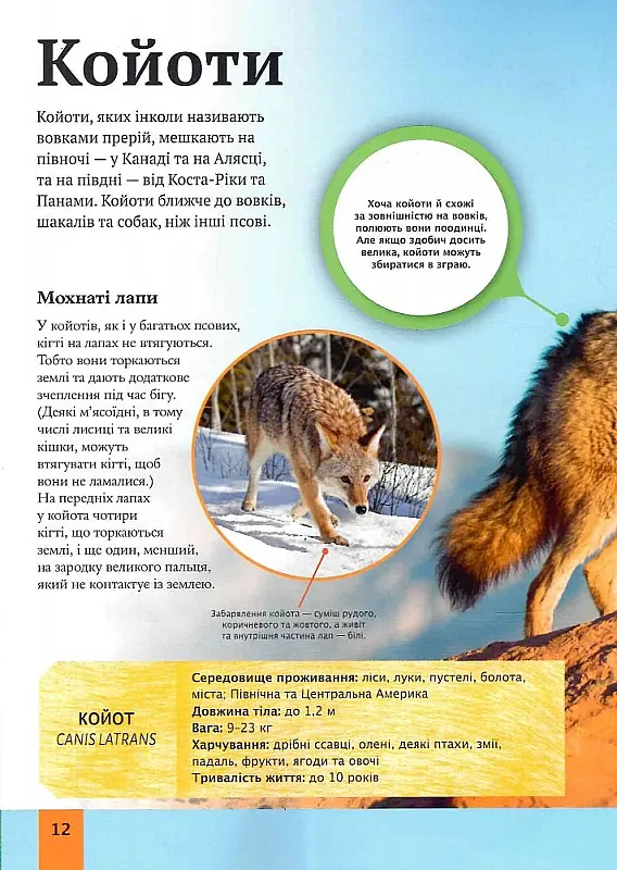 Дитяча енциклопедія хижаків - Алекс Вульф - фото 5