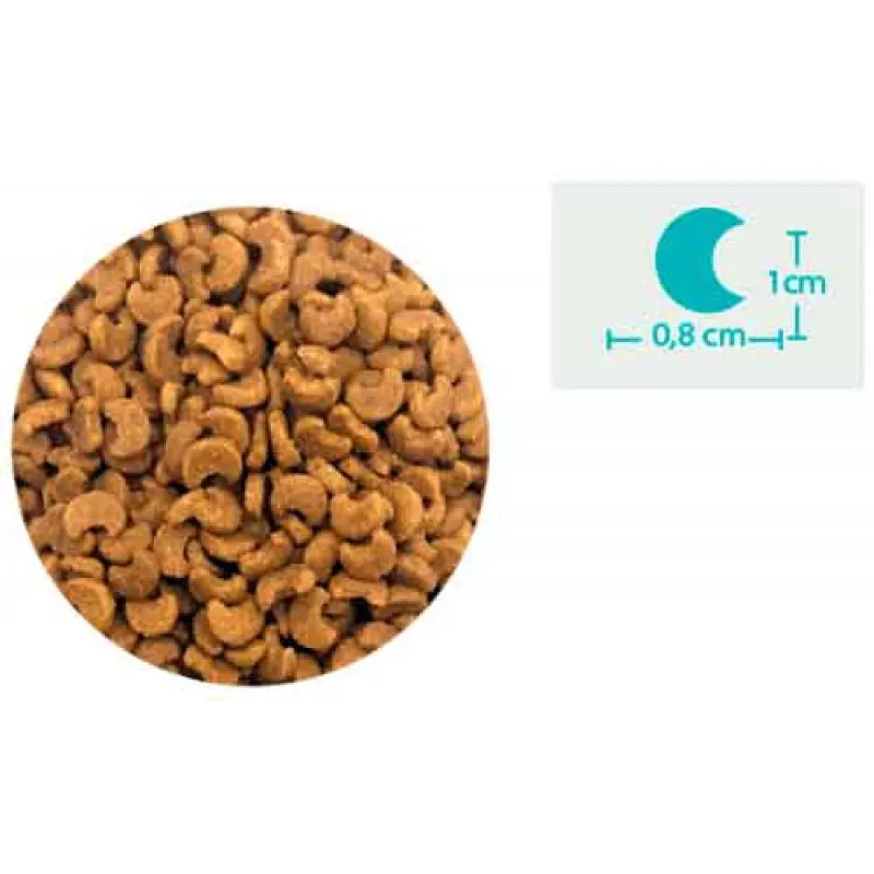 Сухий корм для стерилізованих котів BonaCibo Adult Cat Sterilized з лососем 5 кг BC407028 - фото 2