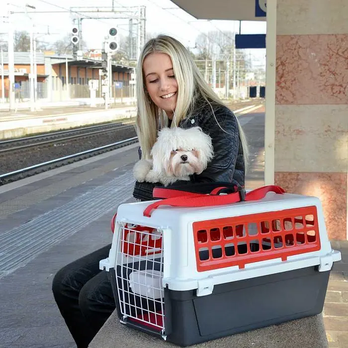 Переноска для котів та дрібних собак Ferplast ATLAS 10 TRENDY PLUS (FR19582271-2) - фото 7