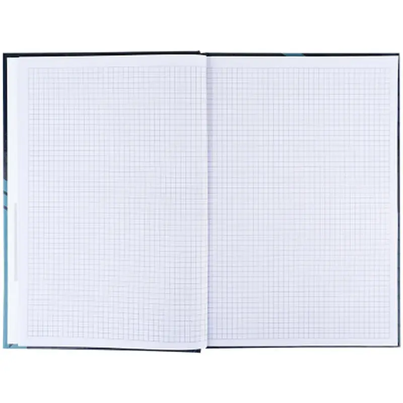 Книга записна Axent Lines А4, 96 аркушів, клітинка, сіра (8422-580-A) - фото 4