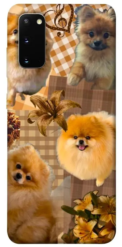 TPU чохол Demsky Spitz aethtetic для Samsung Galaxy S20