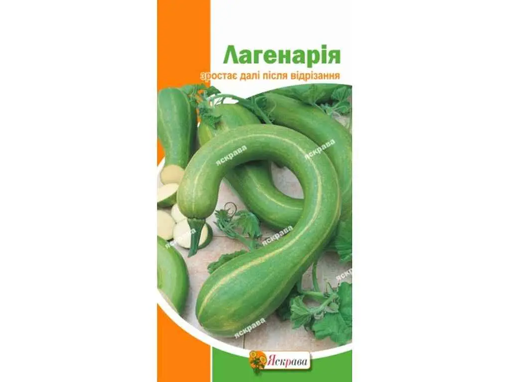 Кабачок ЯСКРАВА Лагенарія (20 пачок) 1 г