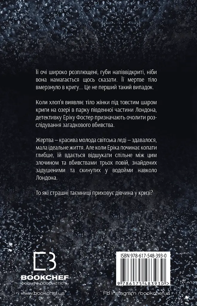 Дівчина у кризі - Роберт Бриндза - фото 2