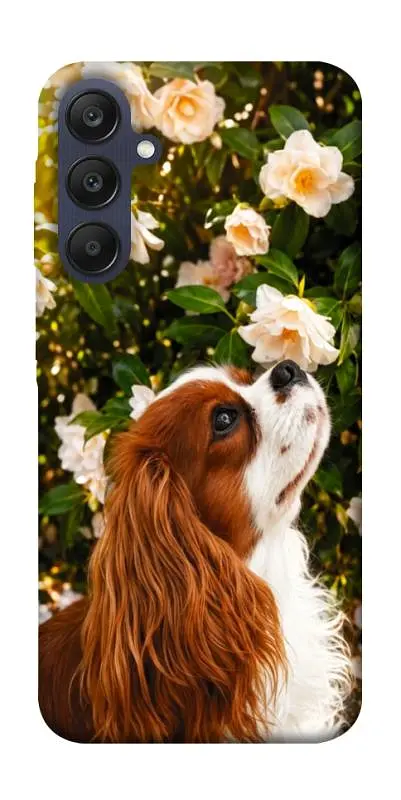 TPU чохол Demsky Flower spaniel для Samsung Galaxy A25 5G
