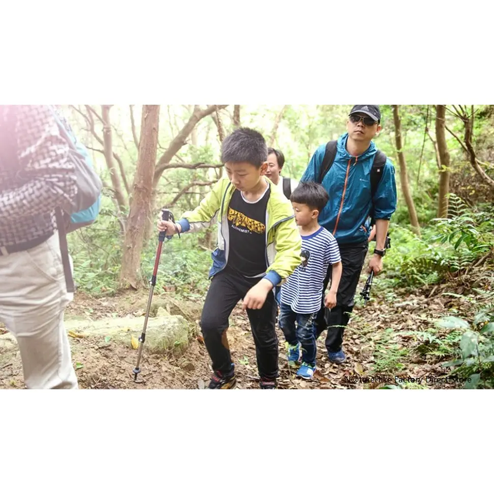 Трекінгова палиця телескопічна Naturehike Women (NH17D001-Z) 57-120см - зелена - фото 5