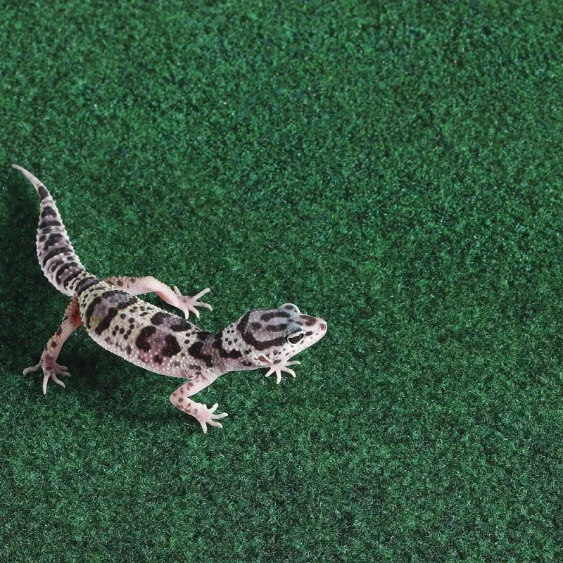 Килимок-субстрат Repti-Zoo Carpet Mat 60x45 см (EC02) для тераріуму, пустельних і тропічних рептилій - фото 6