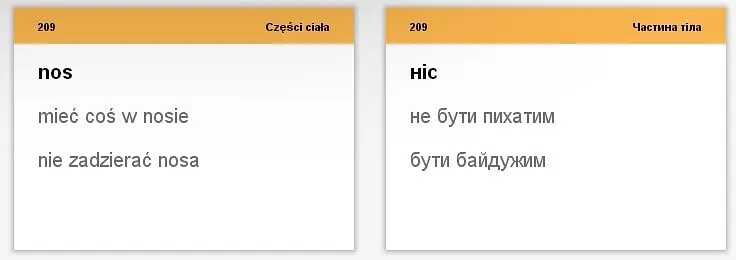 Настільна гра English Student Картки для вивчення розмовної польської мови English Student (укр.) (39122656) - фото 8