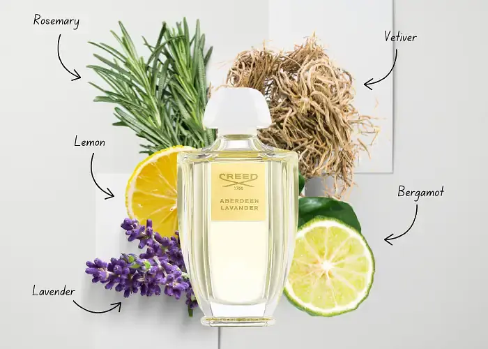 Парфюмерная вода Acqua Originale Aberdeen Lavender 100 ml - фото 4