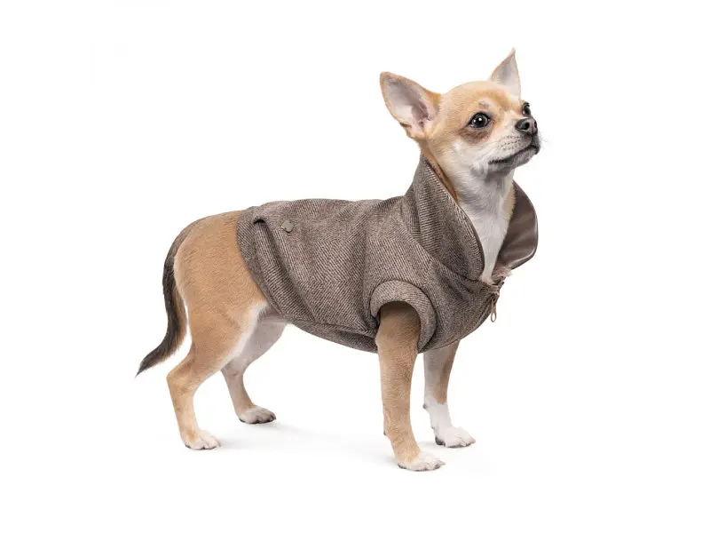 Жилет для тварин Pet Fashion Harry XS2 (4823082430109) - фото 3