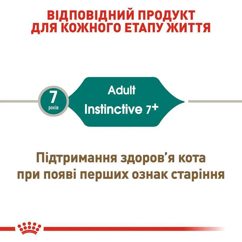 Влажный корм для кошек от 7 лет Royal Canin Instinctive, кусочки в соусе, 85 г - фото 4