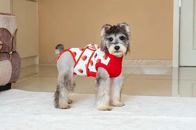 Костюм для відновлення після операції для собак VPETER Strawberry, M - фото 6