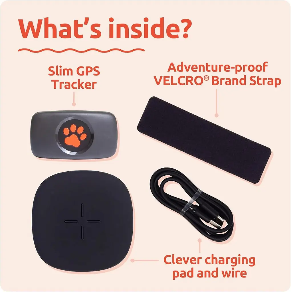 GPS-трекер для собак PitPat — подписка не требуется — Подходит для всех собак и всех ошейников — Умный трекер - фото 2