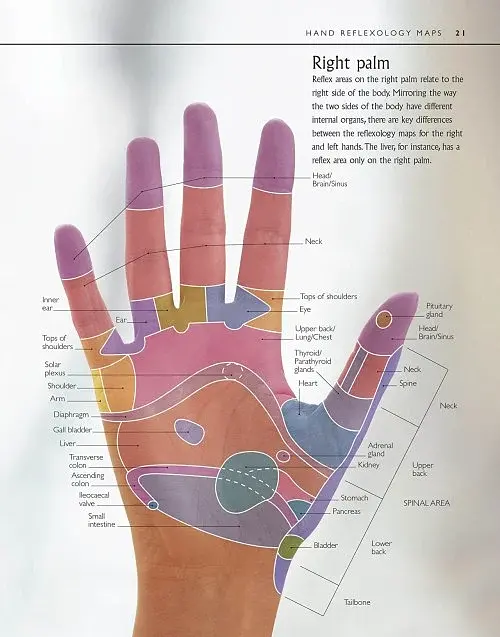 Reflexology - фото 5