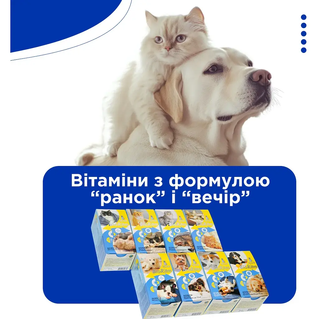Поливитаминный комплекс Modes BioRitm для средних пород 10-30 кг 30 шт. - фото 2