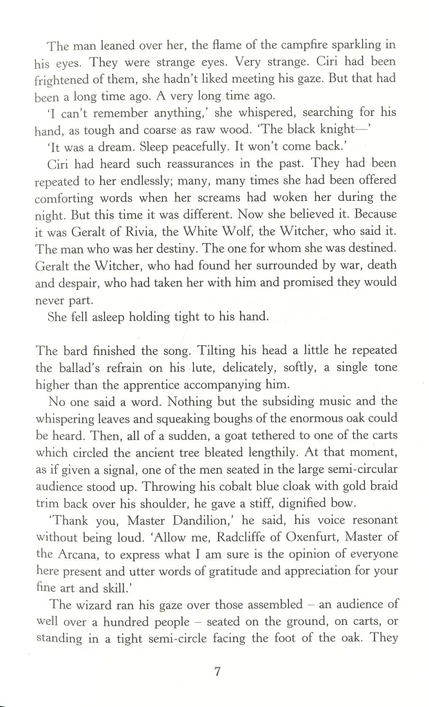 The Witcher. Blood of Elves - фото 6