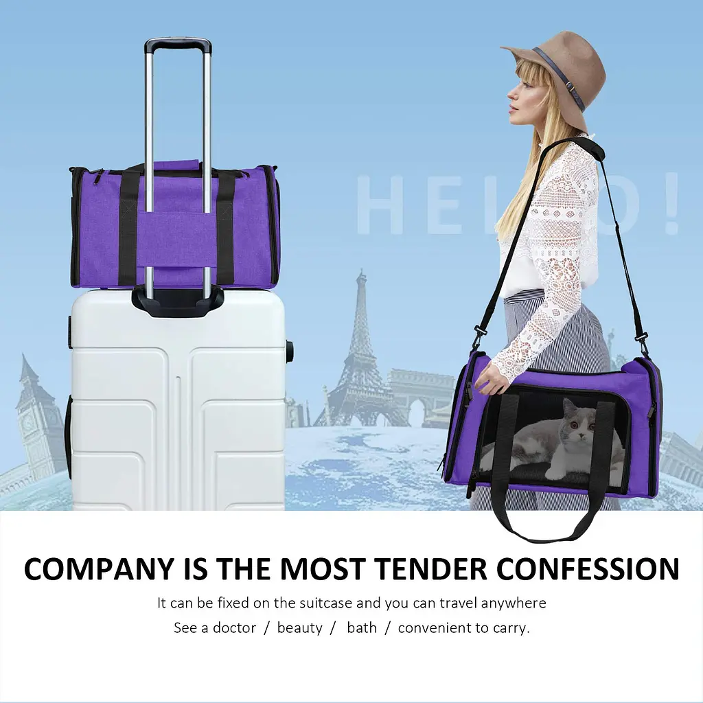 Сумка-переноска для домашніх тварин Bestopet (Люпосанчик) Portable Travel Bag - фото 6
