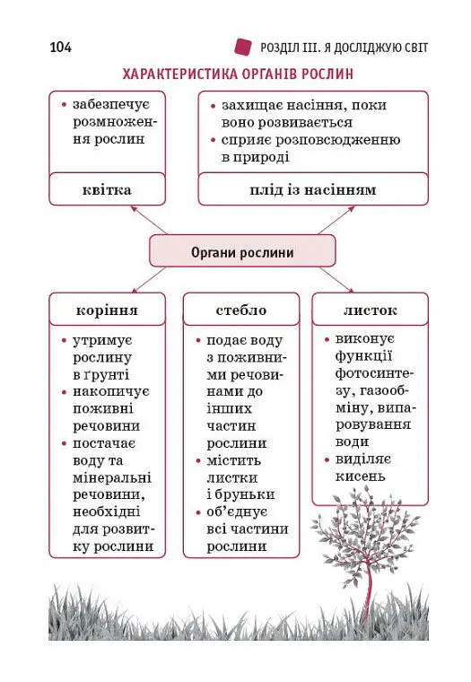 Перший довідник учня 1-4 класи - О. Ю. Чекіна - фото 6