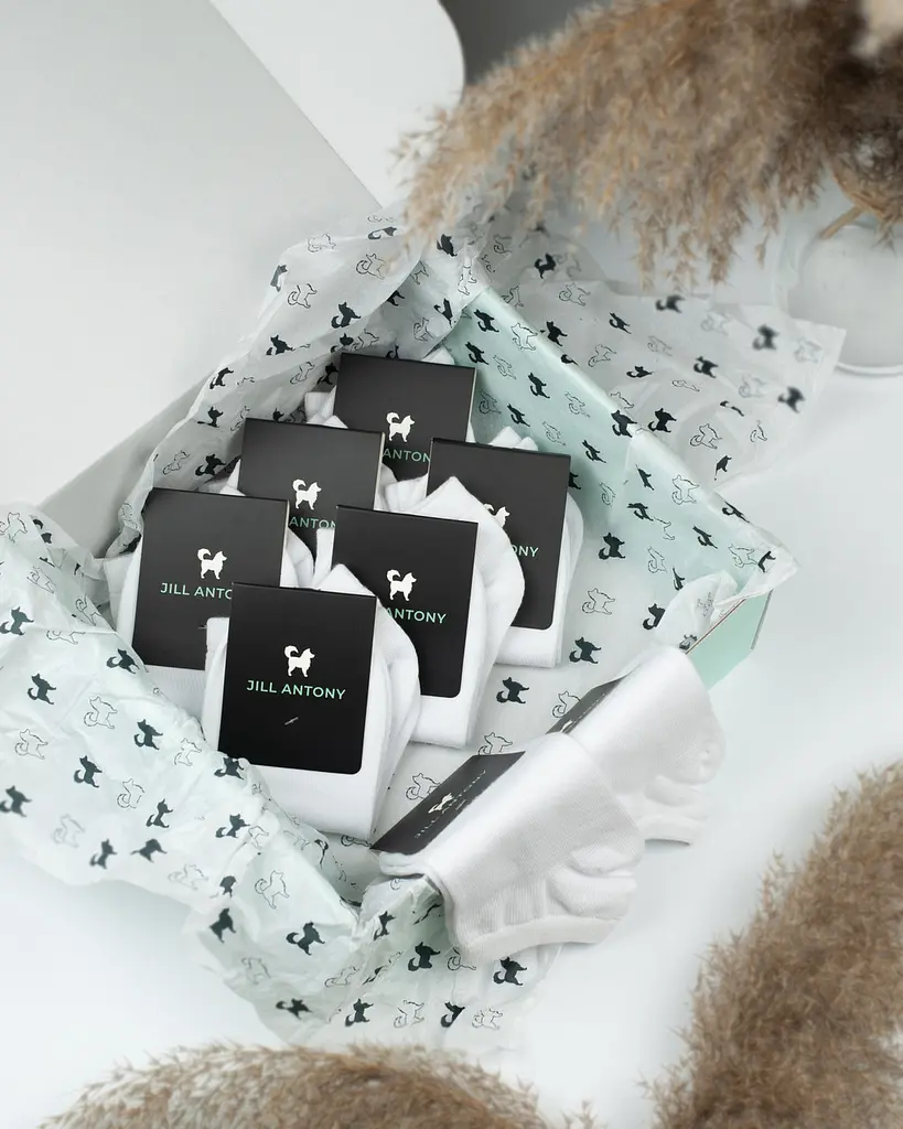 Набір шкарпеток у коробці однотонні чоловічі безшовні якісні ORGANIC cotton 12, 44-45, Білий - фото 2