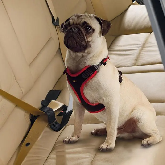 Нейлоновый ремень безопасности для животных весом до 45 кг Ferplast DOG TRAVEL BELT - фото 2