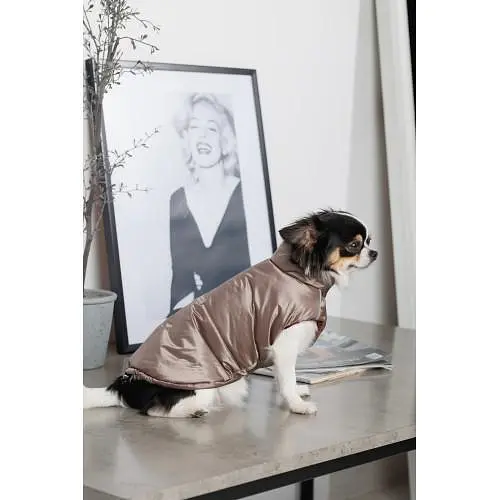 Жилет Pet Fashion Hardy для собак размер XL - фото 6