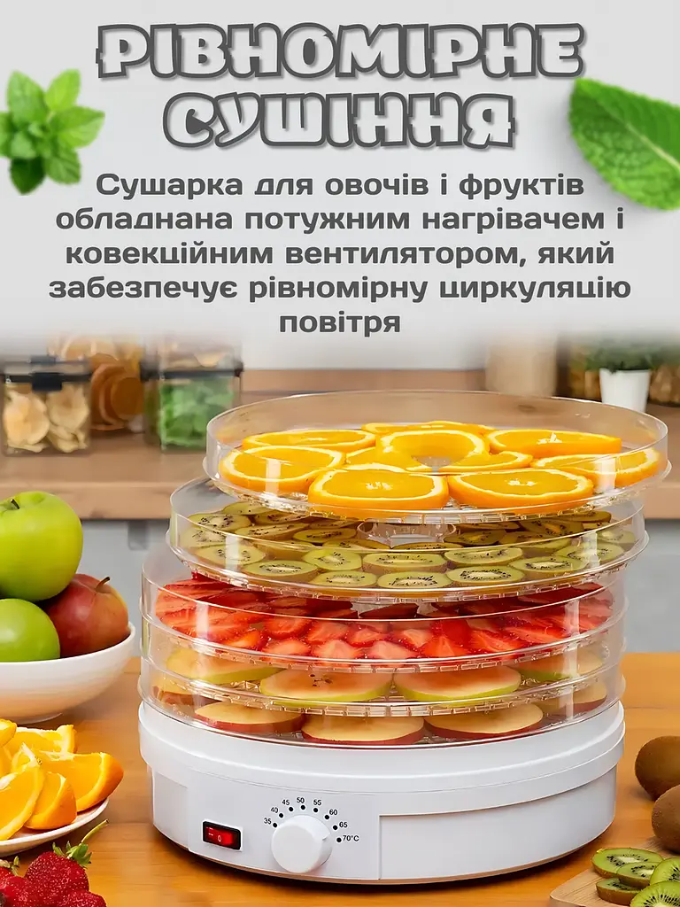 Електро сушарка для овочів і фруктів, 5 піддонів, 35-70°C, 350 BT, біла (7435349366) - фото 4