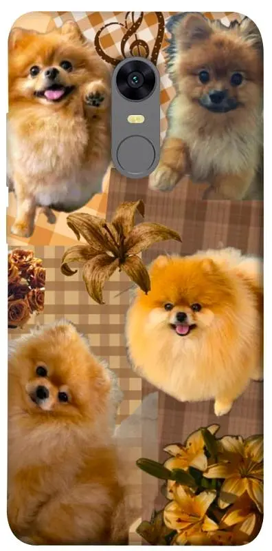 TPU чохол Demsky Spitz aethtetic для Xiaomi Redmi 5 Plus / Redmi Note 5 (Single Camera)