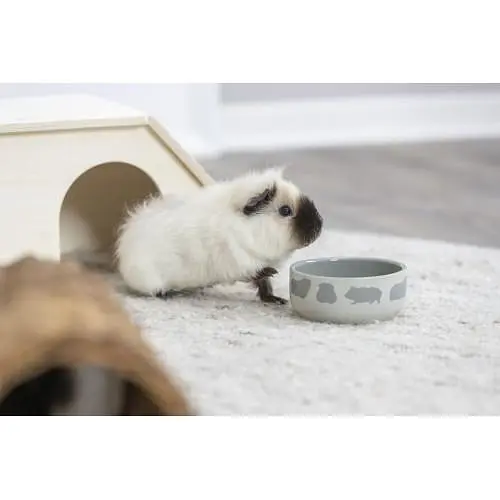 Миска Trixie для гризунів, з принтом морської свинки керамічна 250 мл, 11 см - фото 9