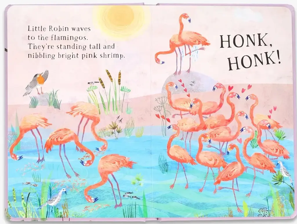 Little Robin's Book of Birds - фото 7